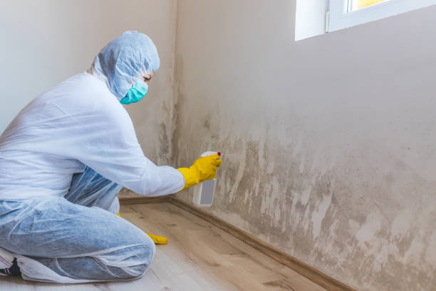 Crawl Space Mold Remediation treatment of floor joists in Litchfield Park